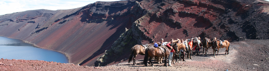 The family of Hekluhestar has been offering horse riding tours since 1981.