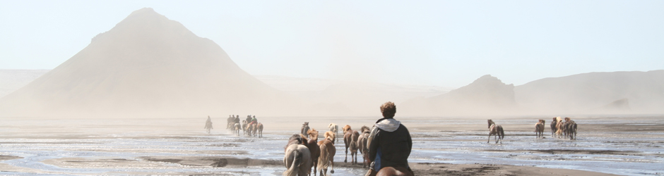 The family of Hekluhestar has been offering horse riding tours since 1981.