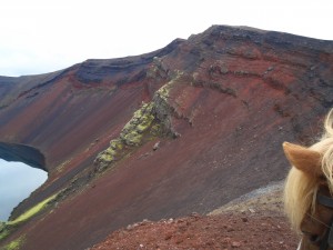Síðasta hestaferð 2006 091